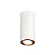 Накладной поворотный светильник Ambrella Light Techno XS7442005 (C7442, N7005)
