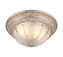 Потолочный светильник Arte Lamp Piatti A8014PL-2WA