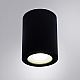 Потолочный светильник Arte Lamp Tino A1468PL-1BK