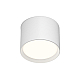 Накладной светильник Denkirs Pillar DK-DH2600-WH