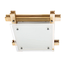 Потолочный светильник Arte Lamp 94 A6460PL-2BR