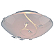 Потолочный светильник Arte Lamp A4040PL-2CC