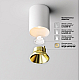 Потолочный светодиодный светильник Maytoni Technical Ceiling Alfa LED C064CL-8W2.7K-RD-WB
