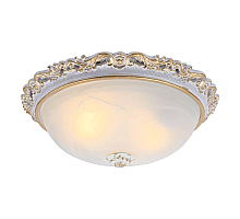 Потолочный светильник Arte Lamp Torta A7152PL-2WG