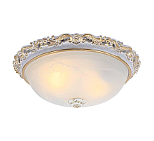 Потолочный светильник Arte Lamp Torta A7152PL-2WG