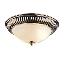 Потолочный светильник Arte Lamp 28 A3016PL-2AB
