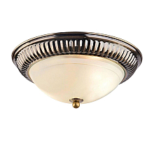 Потолочный светильник Arte Lamp 28 A3016PL-2AB
