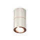 Потолочный светильник Ambrella Light Techno Spot XS7405080 (C7405, A2072, C7405, N7195)
