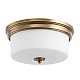 Потолочный светильник Arte Lamp A1735PL-3SR