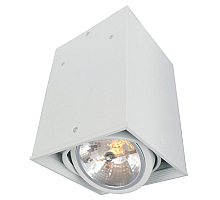 Потолочный светильник Arte Lamp Cardani A5936PL-1WH