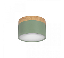 Накладной светильник Loft IT Grape 10162 Green
