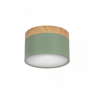 Накладной светильник Loft IT Grape 10162 Green