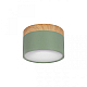 Накладной светодиодный светильник Loft IT Grape 10162 Green