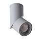 Накладной светильник ARTE Lamp A7717PL-1GY