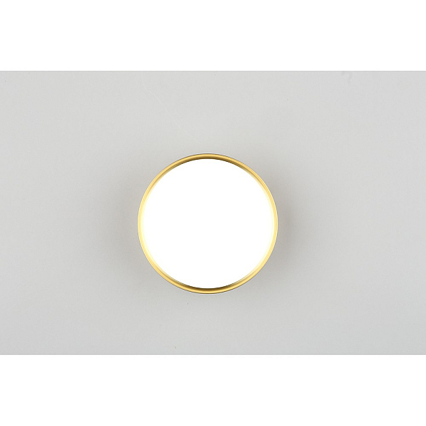 Потолочный светодиодный светильник Omnilux Salentino OML-100929-12