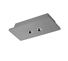 Потолочный светодиодный светильник Loft IT Architect OL1072-GH/2
