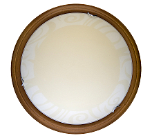 Настенно-потолочный светодиодный светильник Toplight Ginger TL9620Y-00OA