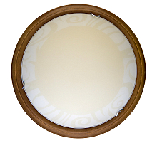 Настенно-потолочный светодиодный светильник Toplight Ginger TL9620Y-00OA