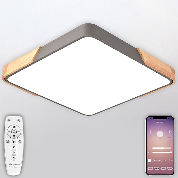 Потолочный светодиодный светильник Natali Kovaltseva LED LAMPS 81413