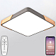 Потолочный светодиодный светильник Natali Kovaltseva LED LAMPS 81413