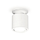 Накладной поворотный светильник Ambrella Light Techno XS7401061 (N7925, C7401, N7001)
