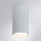 Потолочный светильник Arte Lamp Fang A5557PL-1WH