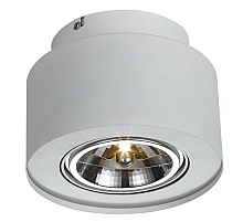 Потолочный светильник Arte Lamp Cliff A5643PL-1WH