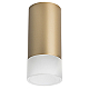 Накладной светильник Lightstar Rullo R44031 (214440+202431)