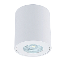 Накладной светильники Arte Lamp Tino A1469PL-1WH
