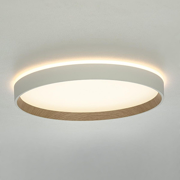 Потолочный светодиодный светильник Citilux Etalon CL750320R