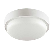 Настенно-потолочный светильник Wolta LCL04-12W-R41-6K-SBA