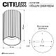 Потолочный светильник Citilux Axel CL512113R