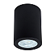 Потолочный светильник Arte Lamp Tino A1468PL-1BK