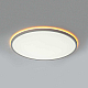 Потолочный светильник Citilux NORMA CL749500