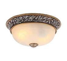 Потолочный светильник Arte Lamp Torta A7141PL-2SB