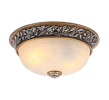Потолочный светильник Arte Lamp Torta A7141PL-2SB