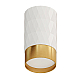 Потолочный светильник Arte Lamp Fang A5658PL-1WH