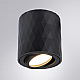 Потолочный светильник Arte Lamp Fang A5559PL-1BK