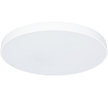 Потолочный светодиодный светильник Arte Lamp Arena A2671PL-1WH