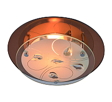 Потолочный светильник Arte Lamp A4043PL-1CC