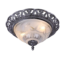 Потолочный светильник Arte Lamp Piatti A8001PL-2SB