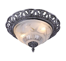 Потолочный светильник Arte Lamp Piatti A8001PL-2SB