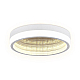 Потолочный светодиодный светильник Ambrella light Ice FA9431