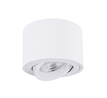 Накладной светильник Arte Lamp Unito A2260PL-1WH