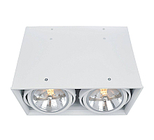Потолочный светильник Arte Lamp Cardani A5936PL-2WH