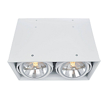 Потолочный светильник Arte Lamp Cardani A5936PL-2WH