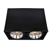 Потолочный светильник Arte Lamp Cardani A5936PL-2BK