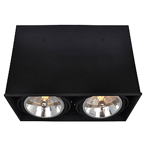 Потолочный светильник Arte Lamp Cardani A5936PL-2BK