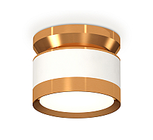 Потолочный светильник Ambrella Light Techno Spot XS8101060 (N8909, C8101, N8124)