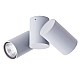 Накладной светильник ARTE Lamp A1511PL-2GY